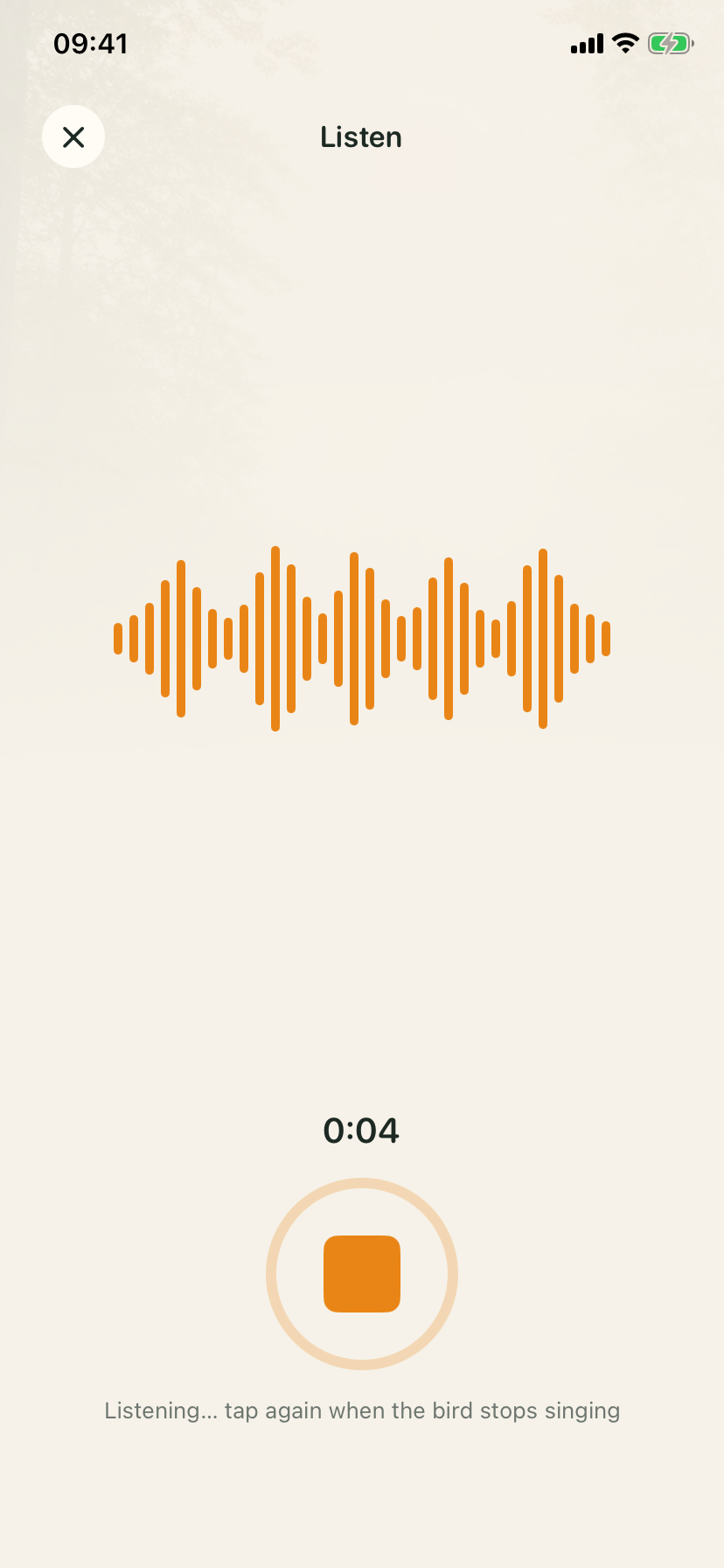 Orniqa listening to a bird song with a live sound waveform